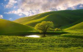Shimla Hills